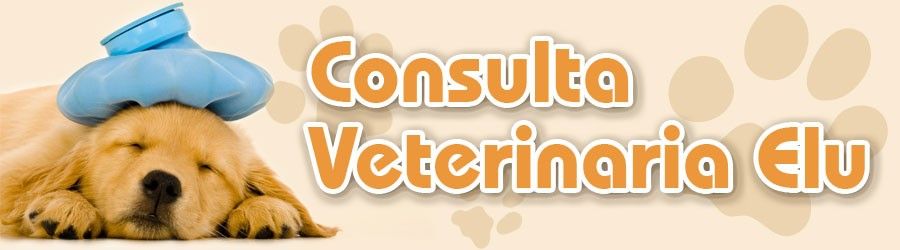 Consulta Veterinaria Elu banner